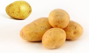 Ziemniak Biały Katan (pakowane 10.00 kg.)